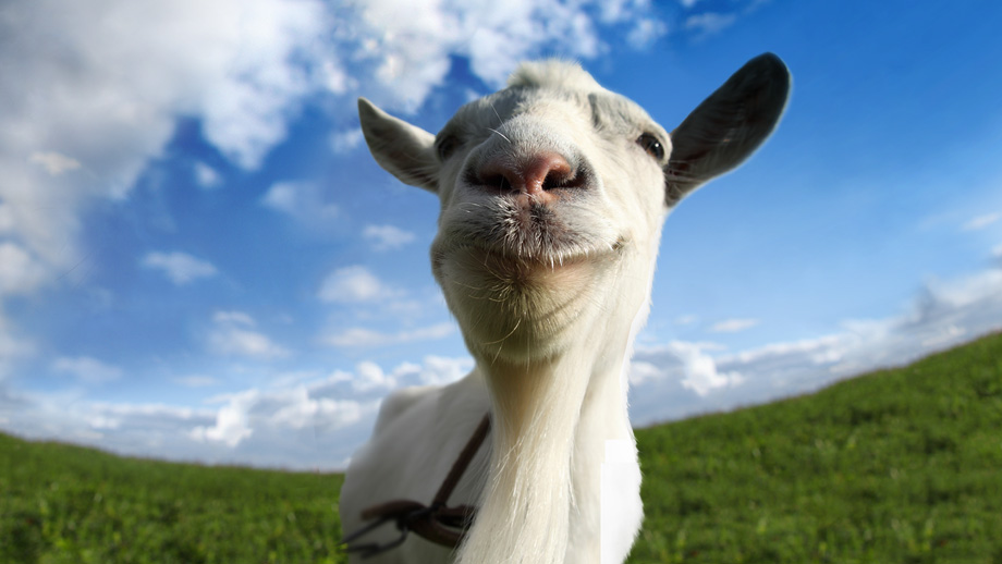 goat.png